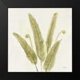 thumbnail image 2 of Hristova, Albena 20x20 Black Modern Framed Museum Art Print Titled - Forest Ferns II v2, 2 of 5