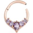 thumbnail image 2 of Painful Pleasures 16g PVD Rose Gold Steel Clicker Jewelry for Septum or Ear Piercings — Marquise Purple Jewel Design — 10mm Inner Diameter, 2 of 4