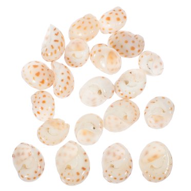 Hobby Sea Shells Reef Snail Decoration & Housing for Hermit Hobby Sea Shells Reef Snail Decoration & Housing for Hermit