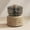as the picture shows, variant on Food Processor with Meat Grinder Multifunctional Vegetable Chopper and Powerful Copper Motor
