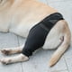 thumbnail image 5 of Perro de la manga de la recuperación de la parte delantera trasera de la pierna de apoyo para e Carevas Abrazadera, 5 of 7