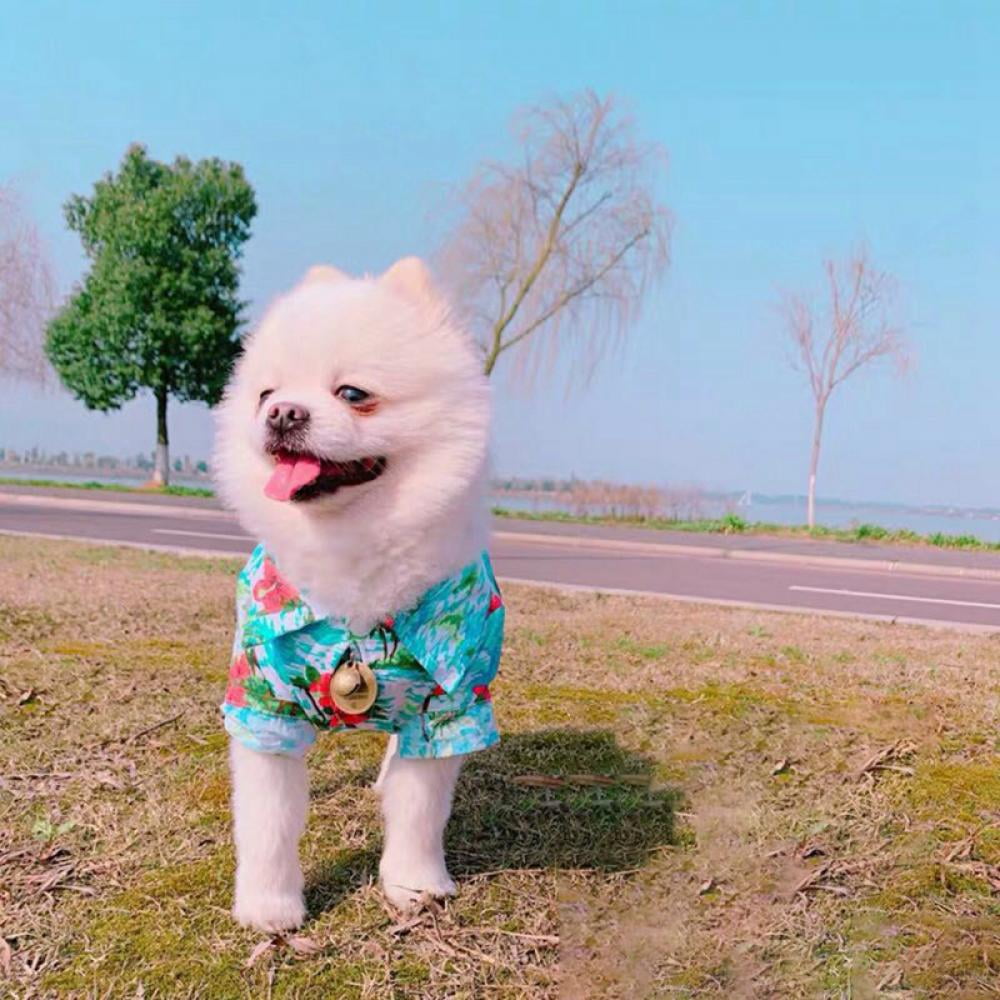 Cute Summer Pet Dog Clothes Hawaiian Beach Floral T-Shirt Apparel Costumes XS-XL 