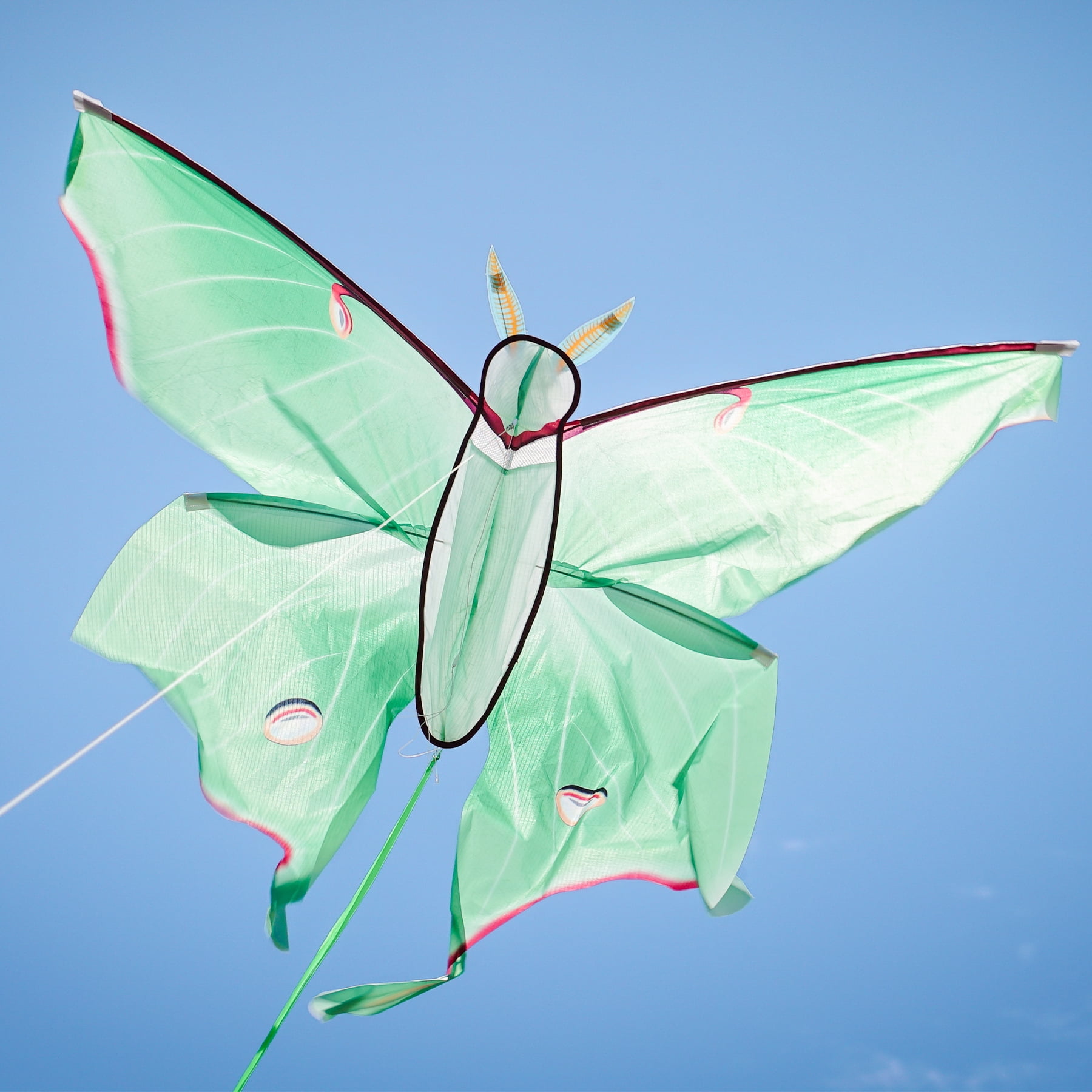 In the Breeze 3398 — Luna Moth Kite — Colorful Easy-Flying Kite with Color-Coordinated Tails, Kite Line Included
