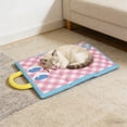 thumbnail image 5 of Pet Cooling Mat 22 Inch Cooling Pad for Small Cats Dogs Under 5 Lb Summer Sleeping Bed Crate Sofa Car Travel Indoor Outdoor Washable Breathable Portable Chill Pad Home Daily Comfort Pad Daily Use, 5 of 6