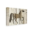 thumbnail image 2 of Trademark Fine Art 'Dark Horse v2' Canvas Art by Michael Mullan, 2 of 3