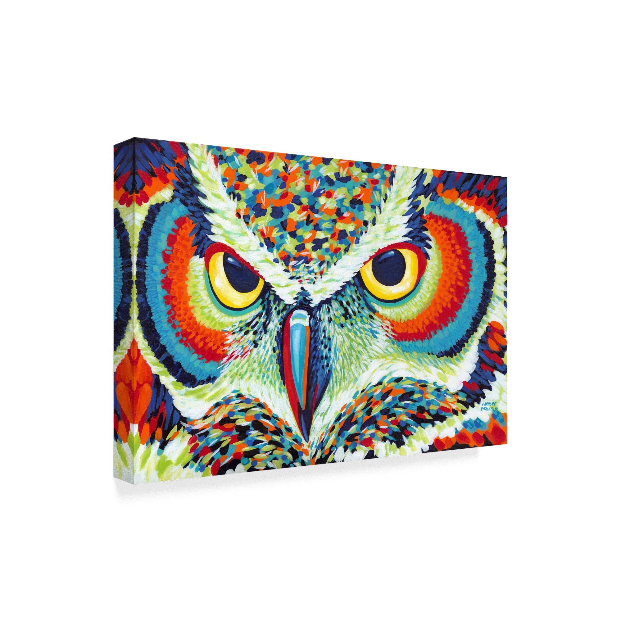 Trademark Fine Art 'Bright Eyes Owl' Canvas Art by Carolee Vitaletti
