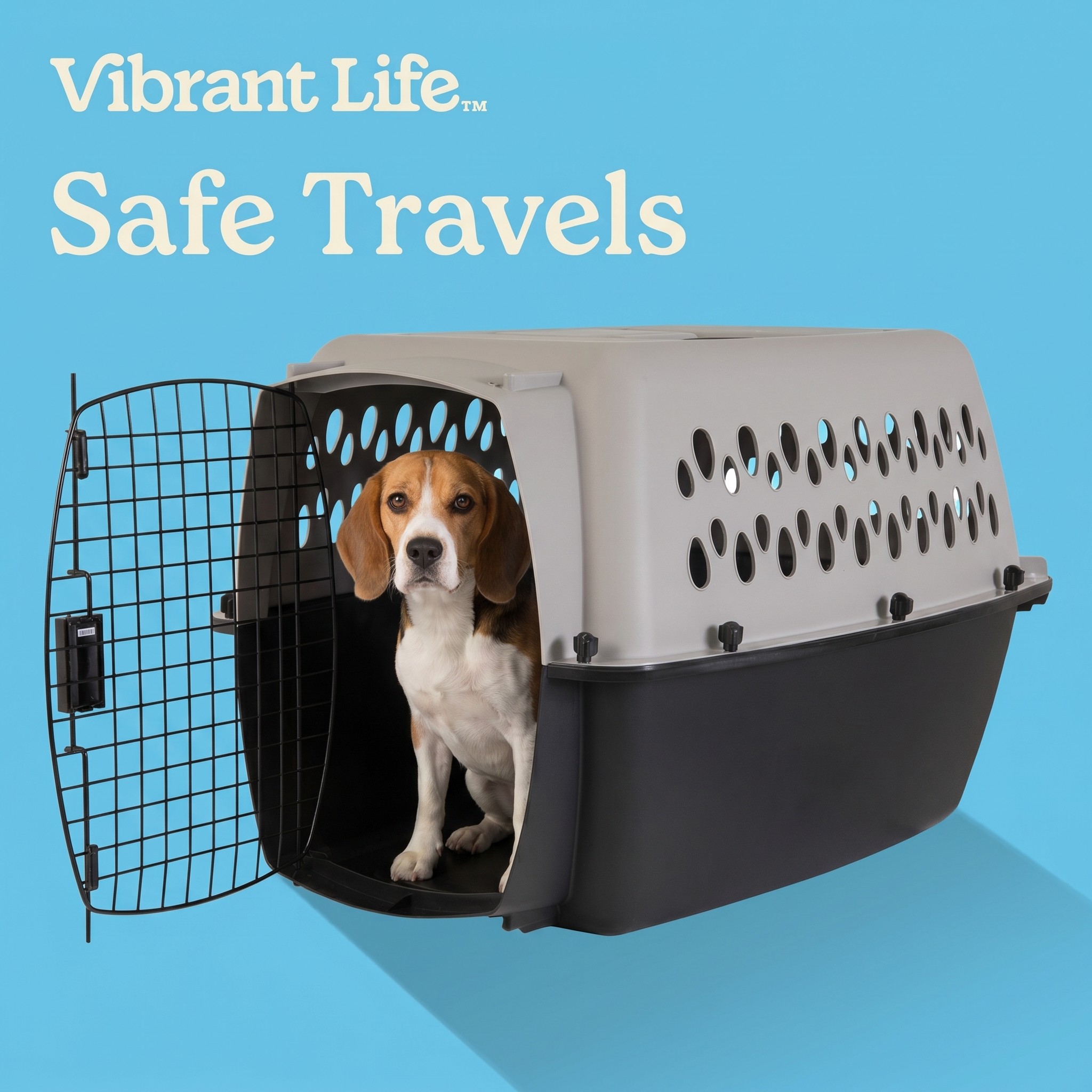 Vibrant Life Extra Small Hard-Sided Pet Carrier, 10 lb Limit photo 4