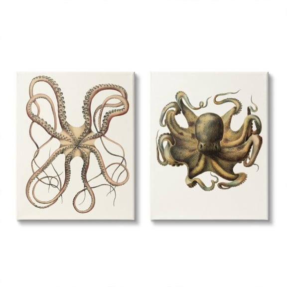 Stupell Industries Vintage Octopus Illustration Curved Tentacles Design by Unknown Artist, 2 Piece, 24" x 30"