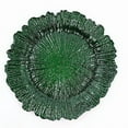 thumbnail image 5 of BalsaCircle 24 Hunter Green 13" Acrylic Wooden Textured Round Reef Acrylic Charger Plate, 5 of 8