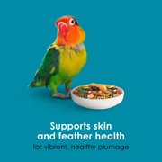 Kaytee Forti-Diet Pro Health Nourish+Protect Conure & Lovebird Food 4 Pounds