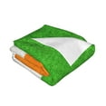 thumbnail image 2 of Irish Flag Throw Blanket Warm Camping Outdoor Light Weight Cozy Blanket for Couch Sofa Bed 40"x30", 2 of 7