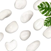 White River Rocks 40lbs - 1-2 Inch Natural Polished Pebbles for Landscaping, Indoor Plants, Aquariums & Vase Filler - Moisture-Retaining Decorative Stones