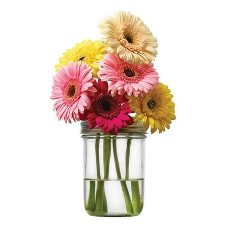 - Jarware Mason Jar Re-Purposing Flower Frog Lid - Fits Wide Mouth Jars