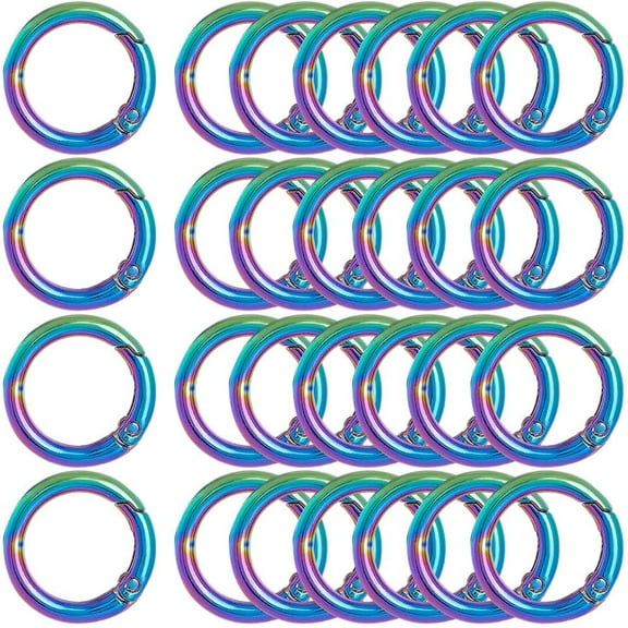 1 Box 20Pc Metal Spring O Rings 20mm Round Carabiner Keyring Rainbow Color Trigger Spring Clips Snap Zinc Alloy O Ring Buckles for DIY Keychains Keyring Purses Handbags Dog Leashes Crafts