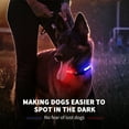 MASBRILL LED Light Up Dog Collar 1,000 Feet of Visibility Brightest