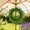 Green, variant on Dianli Front Door Spring Decor Artificial Floral Wreath Rustic Greenery and Mixed Blooms with Berries Bow for Living Room Garden Entryway Indoor Outdoor Porch Home Decor