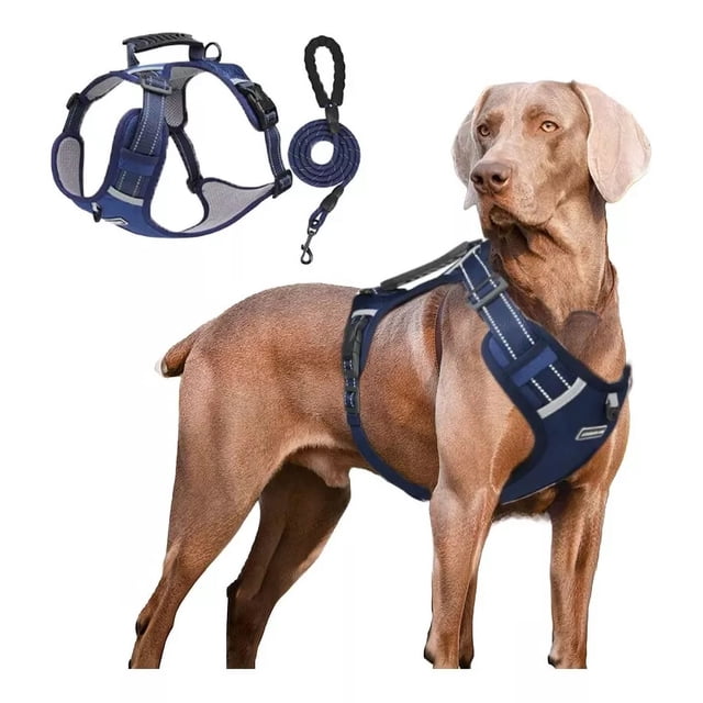 Pechera Arnés Transpirable Cómodo Con Correa Para Perro 1.5m