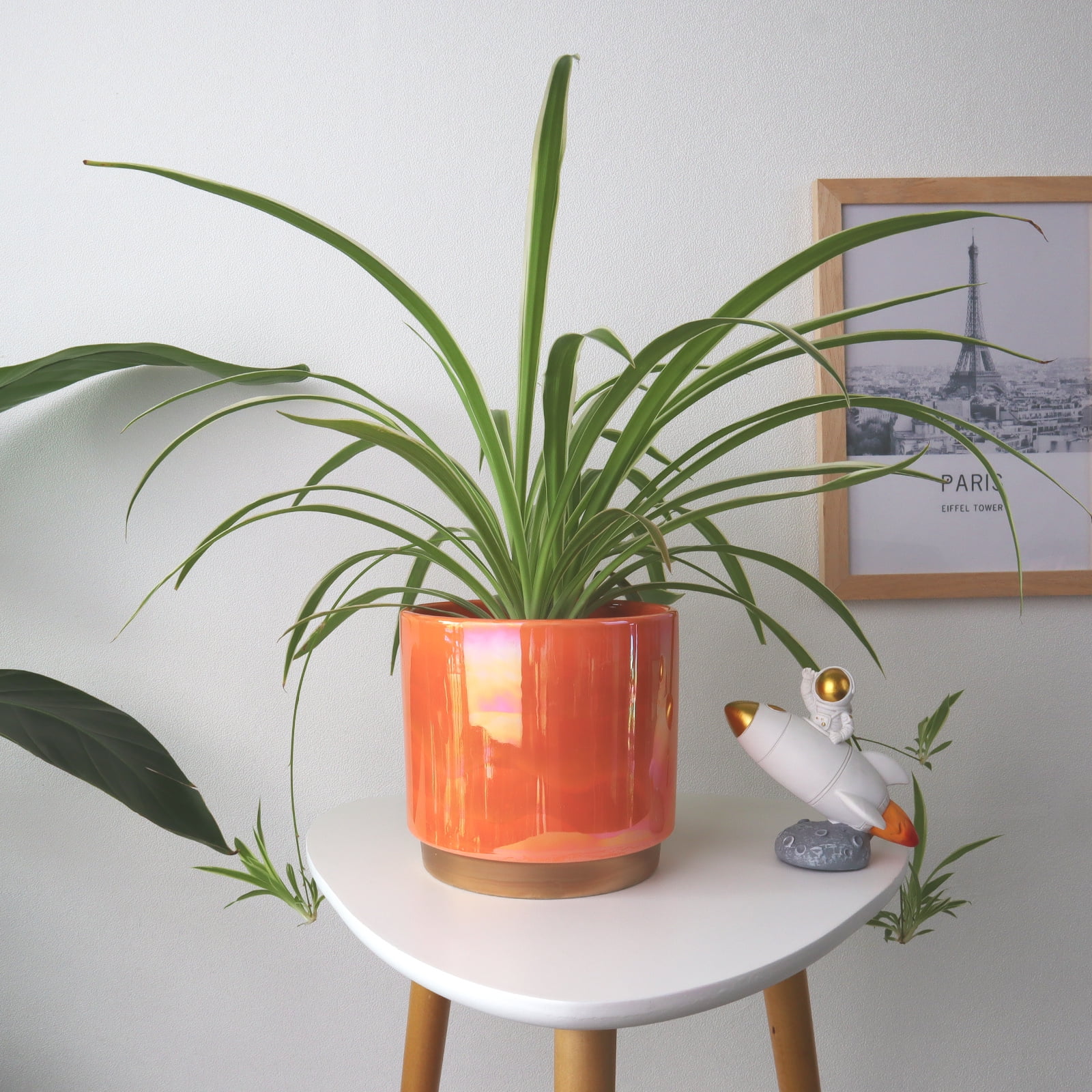 YFFSRJDJ Indoor Plant Pots for Plants, Ceramic Planter with Drainage Hole, 6.0 inch+5.0 Inch+4.0 Inch. Succulent Orchid Flower Pot - Rainbow Pearl Glaze
