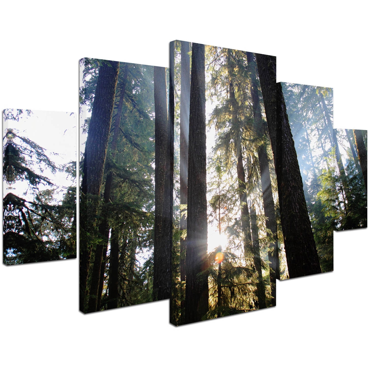Trademark Fine Art "Sunrays" Canvas Art by Pierre Leclerc 5-Piece Multi-Panel Art Set