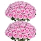thumbnail image 1 of 50 Rosas de Seda Artificial Jefuzh en Rosa con Tallo, 1 of 7