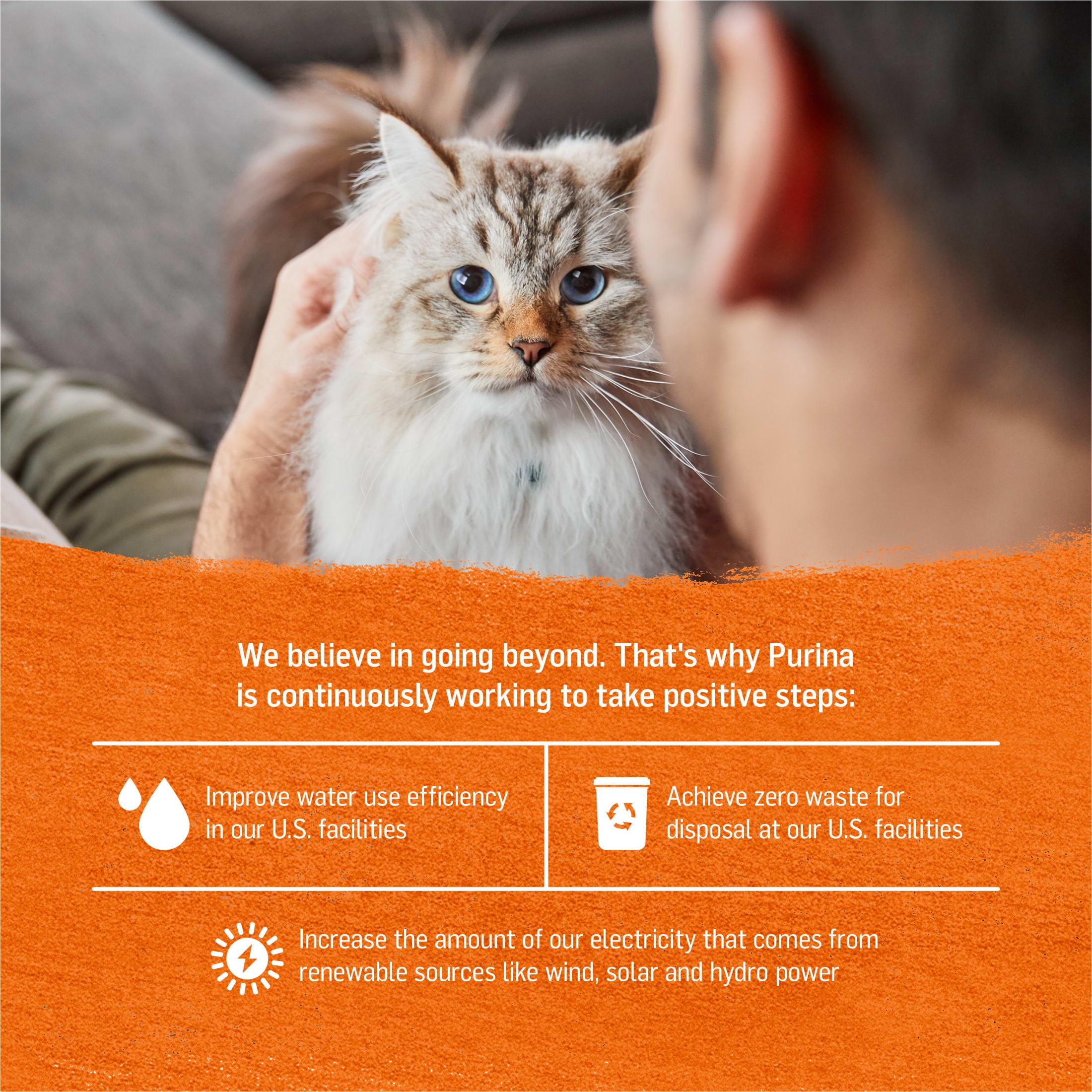 (4 pack) (6 Pack) Purina Beyond Grain Free, Natural Pate Wet Cat Food, Grain Free Pate Variety Pack, 3 oz. Cans