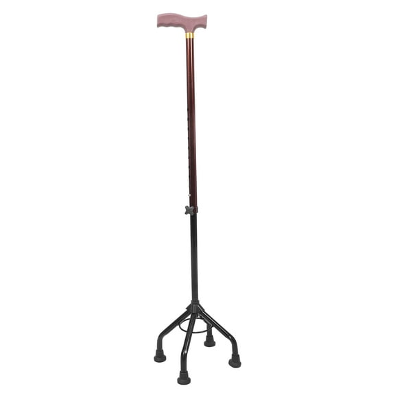 RENACLIPY Detachable Walking Cane, Aluminum Alloy, Nonslip Bottom, for Elderly Outdoor Hiking