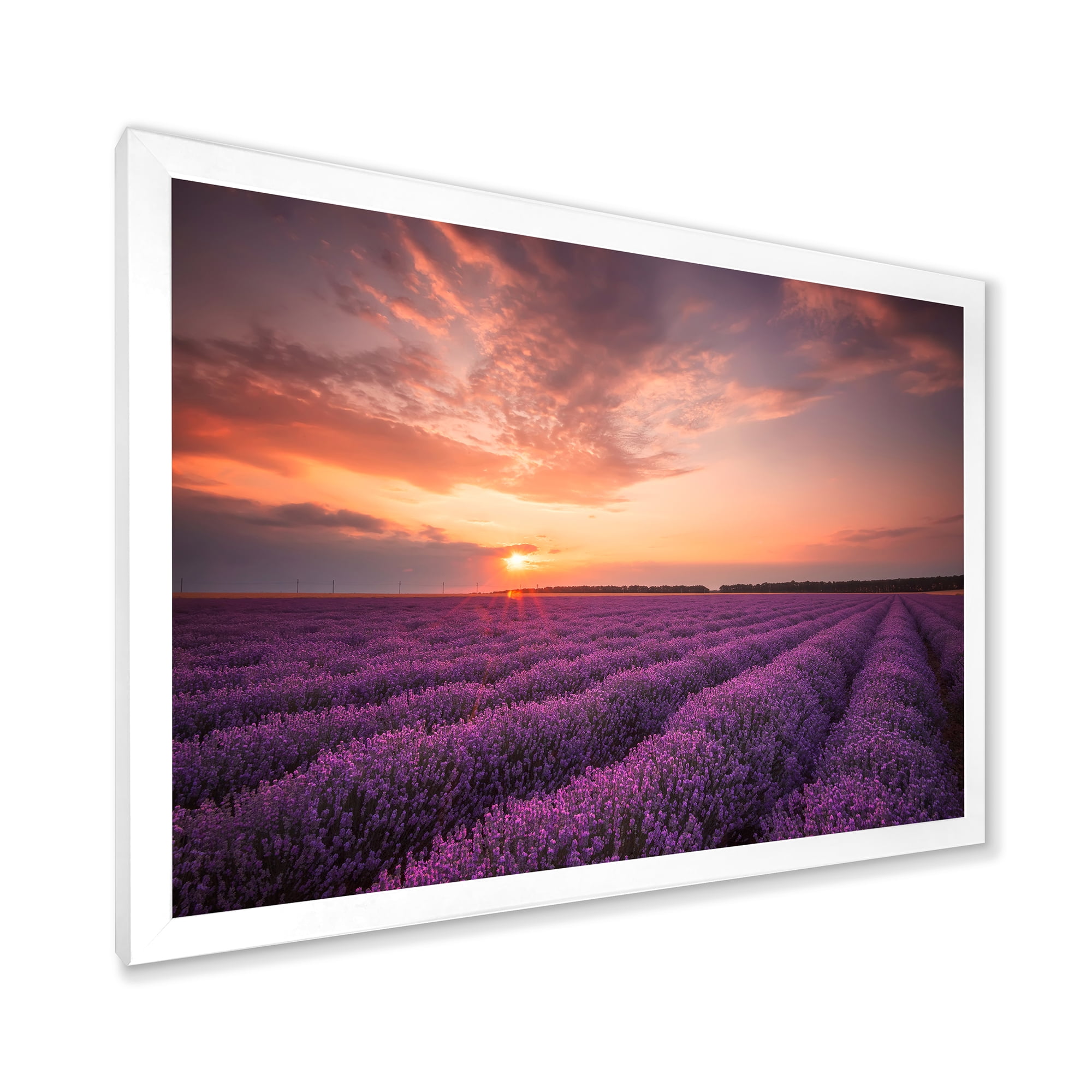 Designart 'Dramatic Clouds and Sunrise Over Lavender Field XII' Farmhouse Framed Art Print