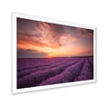 thumbnail image 2 of Designart 'Dramatic Clouds and Sunrise Over Lavender Field XII' Farmhouse Framed Art Print, 2 of 4