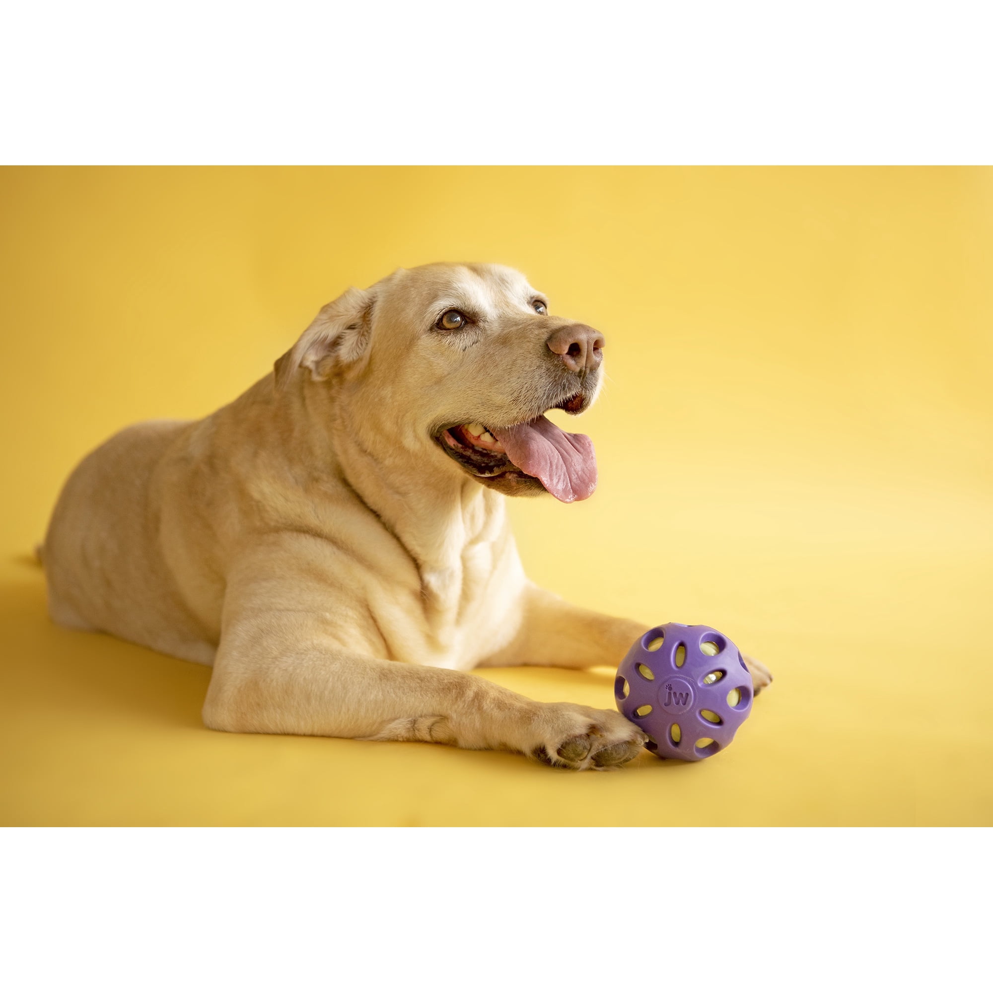 Petmate Crackle Ball Dog Fetch Toy Crunchy Noise Crinkle Dog Toy, Large 4” Diameter