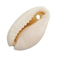 thumbnail image 2 of Ounissouiy 50 piezas de colgantes de moda, accesorios de joyería versátiles para manualidades DIY, fabricación de joyas Diy, accesorios, Artesanía caparazón 1, 2 of 6