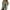 75#Mint Green, variant on Women’s Oversized Button Up Frayed Hem Shacket Long Sleeve Pockets Denim Jean Jacket Black 2XL