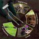 thumbnail image 4 of Horca de mano para cultivador de jardín | Herramienta de dos puntas para desherbar y cultivar hortalizas y flores | Artefacto de jardinería para aflojar y airear la tierra, 4 of 6