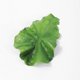 thumbnail image 4 of Clip Vegetable Hairpin Realistic Cabbage Costume Headpiece Spa Face Wash Hairband Novelty Dress Up Hair Accessories Funny Hat, 4 of 5
