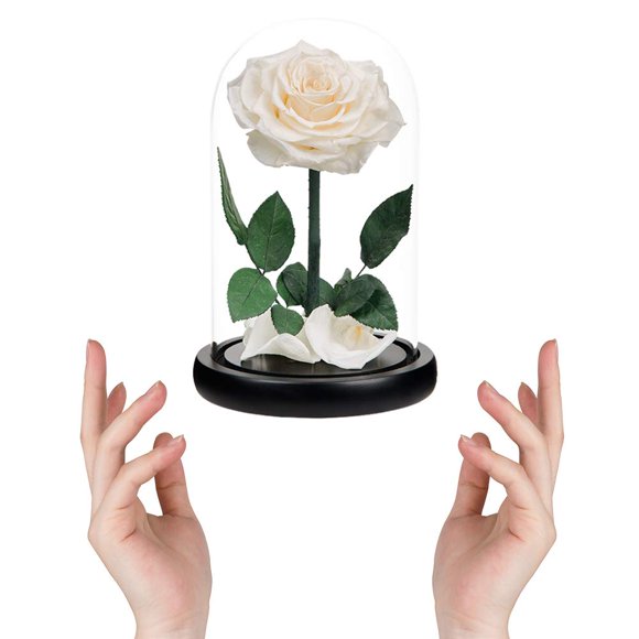 Roses Préservées Roses Blanches Faites à la Main Vraie Rose sous Cloche en Verre, Roses Jamais Flétries Cadeaux pour Elle, Saint-Valentin, Fête des Mères, Anniversaire, Noël, Anniversaire de Mariage (9 Pouces)