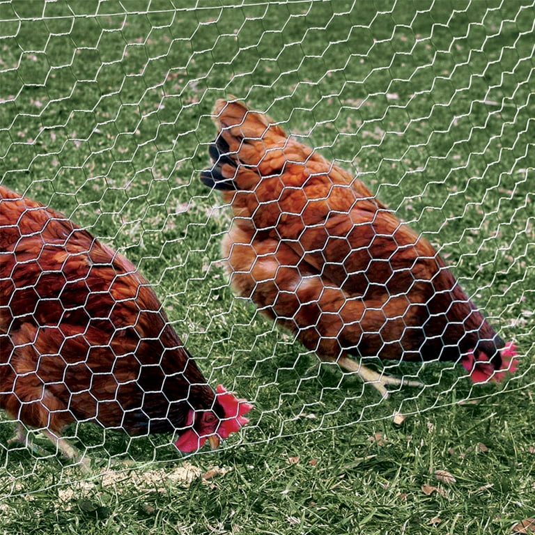 2 Mesh Hexagonal Poultry Netting - Size: 24 x 1800