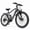 Black, variant on GT900 Electric Bike 748W Peak 36V 13Ah 24" Kenda Tires 21-Speed Shimano with NFC
