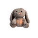 thumbnail image 1 of Juguete De Peluche Con Música Y Luces, Regalo Para Niños café, 1 of 4