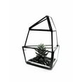 thumbnail image 4 of WGV Short Triangular Obelisk Geometric Glass Terrarium- 5" Wide x 6" Height, Good quality Terrarium - 1 Pc, 4 of 7