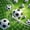 Green Black White, variant on Manfei Cartoon Soccer Twin Bedding, Sport Goal Time Football Print Bedding Comforter Set, Black Neon Green, Black Reversible 7 Pieces