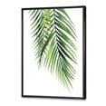 thumbnail image 3 of Designart 'Tropical Palm Branches' Tropical Framed Canvas Wall Art Print, 3 of 5
