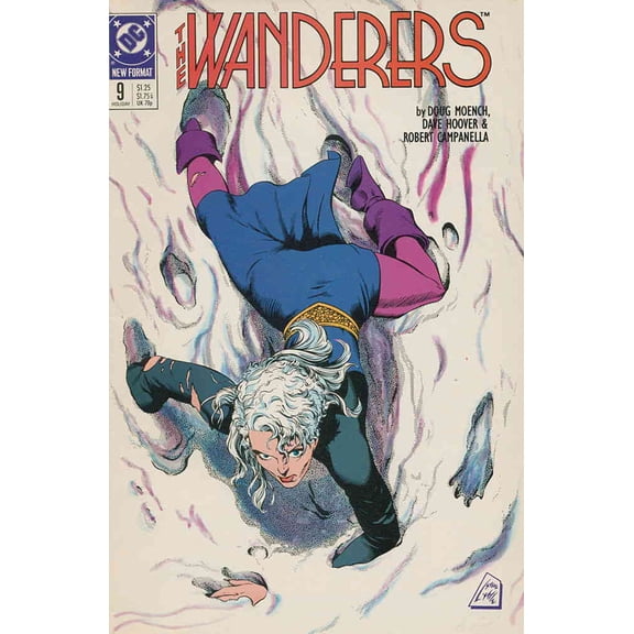 Wanderers, The #9 VF ; DC Comic Book