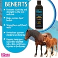 thumbnail image 4 of Eqyss Grooming Products Mega-Tek Equine Coat Rebuilder, 16 Oz, 4 of 7