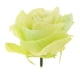 thumbnail image 2 of Cabezas De Rosas Artificiales Paquetes Para Bodas, De , Cumpleaños, Manualidades De Bricolaje, Ramo Floral Verde perfecl  rosas flores artificiales, 2 of 7