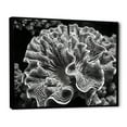 thumbnail image 2 of Designart "Monochromatic Serenity Of Corals I" Coastal Coral Under Water Floater Framed Canvas Prints, 2 of 5