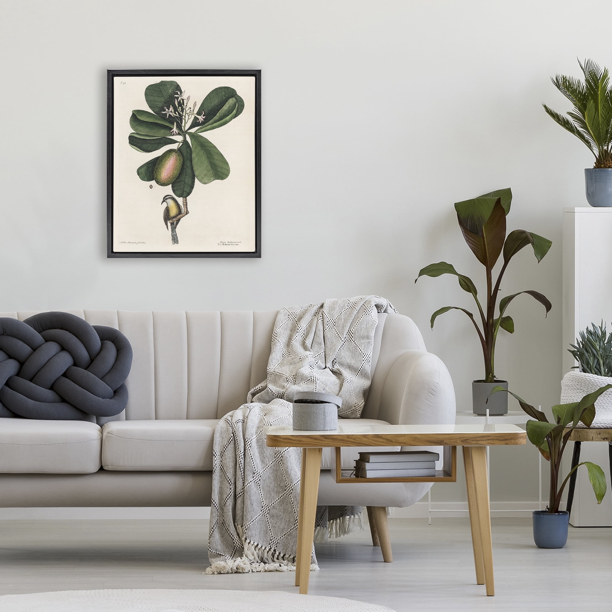 Stupell Industries Catesby Flora & Fauna Black Framed Floater Canvas Wall Art, design by Print Collection