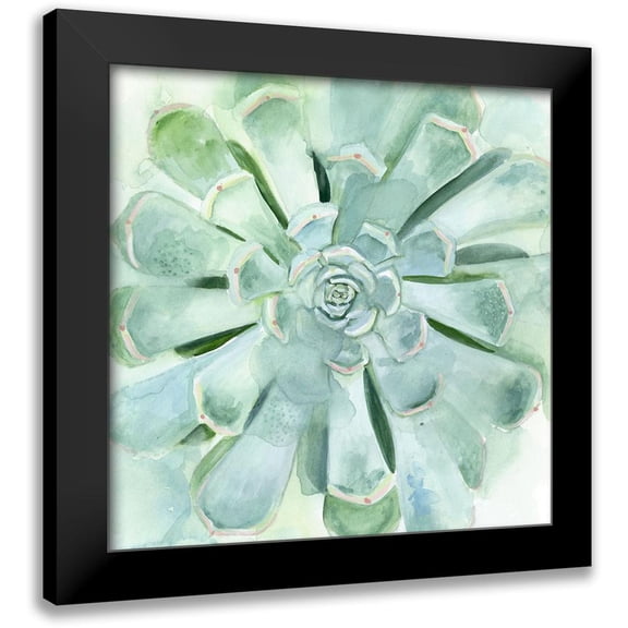 Borges, Victoria 12x12 Black Modern Framed Museum Art Print Titled - Verdant Succulent IV