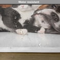 thumbnail image 6 of Ambesonne Funny Place Mats Set of 4, Cat Dog Friendship, Standard Size, Brown Black White, 6 of 6