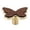 A, variant on Large Decorative Cabinet Knobs 1 Pack Dresser Drawer Pulls Cupboard Door Pull Handles Hole Alloy Knobs/Gold Base With Walnut Sur Adjustable Door Stopper Wall Door Stoppers Large Door Stoppers Floor