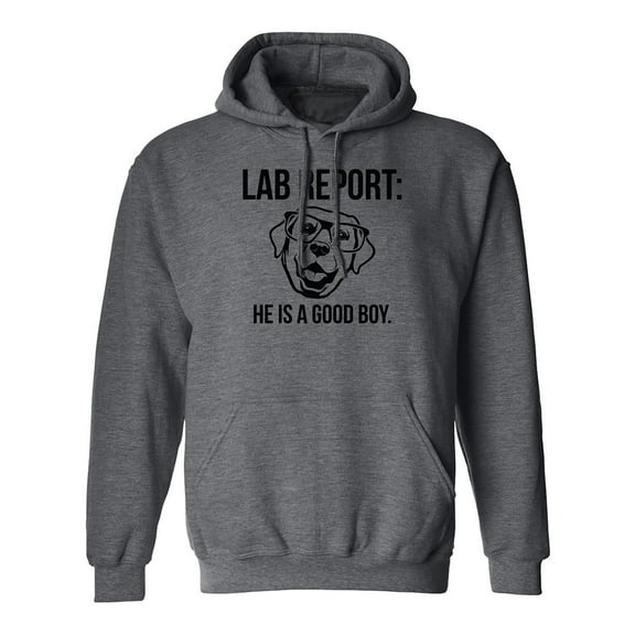 Lab Report Adult Hooded Sweatshirt