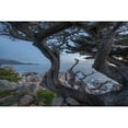 thumbnail image 3 of Fitzharris, Tim 14x11 Black Modern Framed Museum Art Print Titled - Pescdero Point-17-mile drive-Pebble-Beach-California-USA, 3 of 5